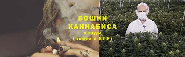 соль ск Касимов
