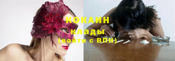 соль ск Касимов